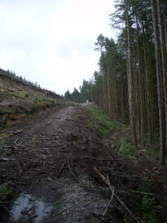 Track