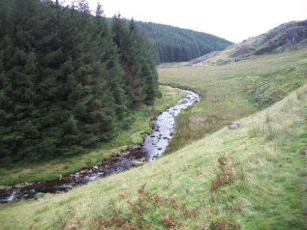 carreg