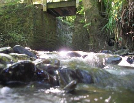 Stream